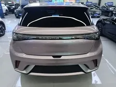 2021 BYD Dolphin 405km Fashion, чёрный — фото 6