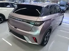 2021 BYD Dolphin 405km Fashion, чёрный — фото 7