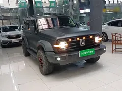2021 Tank 300 Off-road 2.0T Conqueror, чёрный — фото 4
