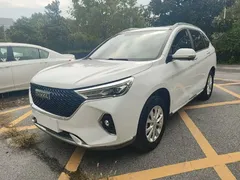 2021 Haval M6 Plus 1.5T DCT Premium, белый — фото 1