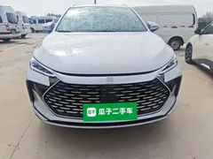 2024 BYD Tang DM-i PHEV 112KM Honor Edition Premium, белый — фото 3