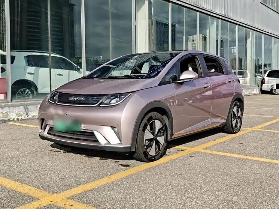 2023 BYD Dolphin 420km Fashion