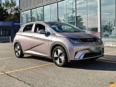 2023 BYD Dolphin 420km Fashion, чёрный — фото 4