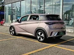 2023 BYD Dolphin 420km Fashion, чёрный — фото 5