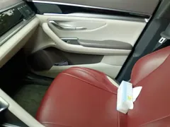 2025 BYD Song PLUS EV 520km Luxury, белый — фото 8