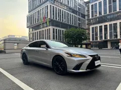 2021 Lexus ES 300h F SPORT — фото 3