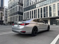 2021 Lexus ES 300h F SPORT — фото 11