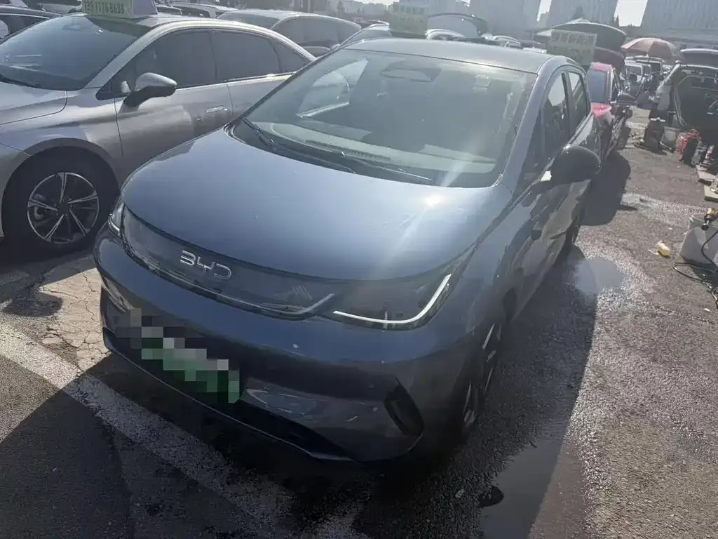 2025 BYD Dolphin EV 520km Smart Driving Knight Edition