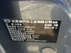 2025 BYD Dolphin EV 520km Smart Driving Knight Edition, синий — фото 16