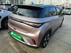 2024 BYD Dolphin EV 401km Honor Knight, чёрный — фото 7