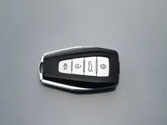 2023 Geely Emgrand 4th Gen Champion 1.5L CVT Premium — фото 19
