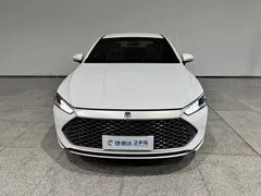 2024 BYD Qin PLUS Honor DM-i PHEV 55km Leading, белый — фото 27