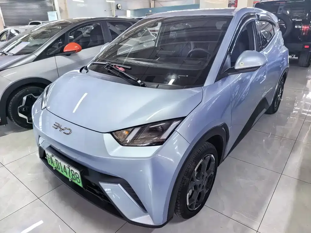 2025 BYD Seagull 305km Freedom