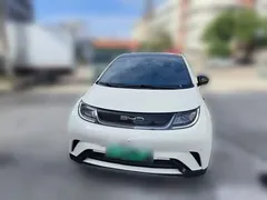 2023 BYD Dolphin 420km Fashion — фото 2