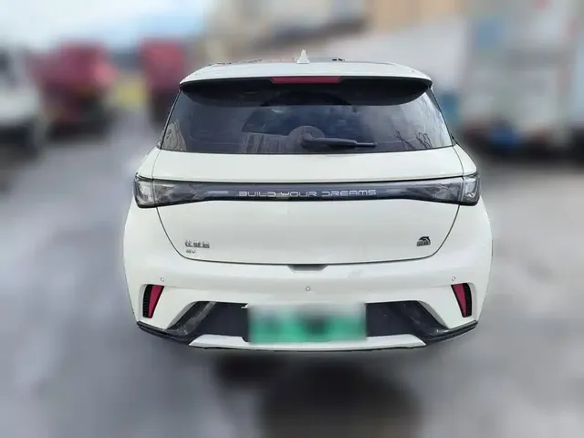 2023 BYD Dolphin 420km Fashion