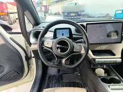 2023 BYD Dolphin 420km Fashion — фото 6
