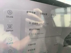 2023 BYD Dolphin 420km Fashion — фото 8