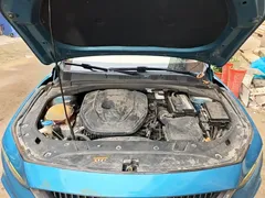 2021 Geely Preface 2.0TD Luxury, синий — фото 20