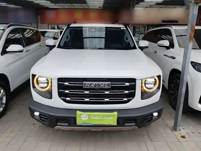 2021 Haval Dargo 1.5T DCT 2WD Border Collie