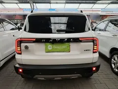 2021 Haval Dargo 1.5T DCT 2WD Border Collie, белый — фото 6