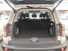 2021 Haval Dargo 1.5T DCT 2WD Border Collie, белый — фото 19
