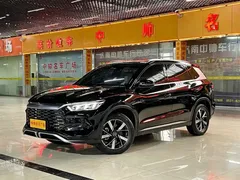 2024 BYD Song Pro Glory Edition DM-i PHEV 110km, чёрный — фото 1
