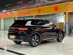 2024 BYD Song Pro Glory Edition DM-i PHEV 110km, чёрный — фото 4