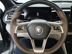 2024 BYD Qin PLUS DM-i PHEV 55km Honor Excellence — фото 11