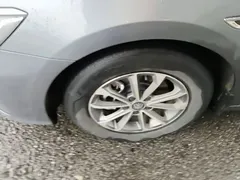 2024 BYD Qin PLUS DM-i PHEV 55km Honor Excellence — фото 23