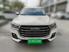 2021 Haval H6 1.5T AT Guochao Urban, белый — фото 2