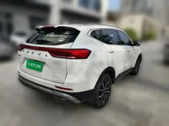 2021 Haval H6 1.5T AT Guochao Urban, белый — фото 4