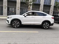 2021 Geely Tugella S 2.0TD DCT 2WD Thunder, белый — фото 4