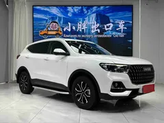 2023 Haval H6 1.5T AT Guochao Urban, белый — фото 3