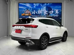 2023 Haval H6 1.5T AT Guochao Urban, белый — фото 4