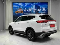 2023 Haval H6 1.5T AT Guochao Urban, белый — фото 6