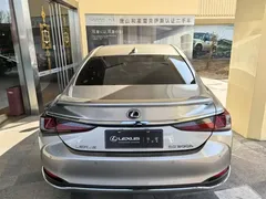 2021 Lexus ES 300h Hybrid Premium — фото 6