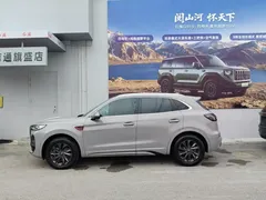 2023 Hongqi HS5 2.0T Pro — фото 6