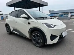 2025 BYD Seagull 405km Flying Smart Driving, белый — фото 3
