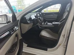 2024 BYD Qin PLUS Honor EV 510km Leading, белый — фото 16
