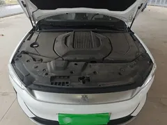 2024 BYD Qin PLUS Honor EV 510km Leading, белый — фото 20