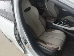 2024 BYD Qin PLUS Honor EV 510km Leading, белый — фото 25