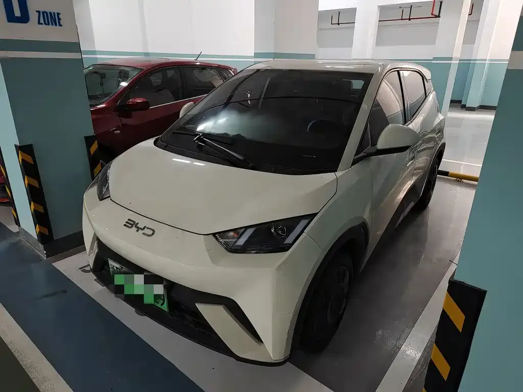 2025 BYD Seagull 305km Vitality