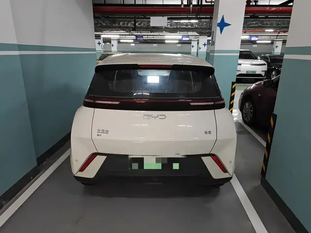 2025 BYD Seagull 305km Vitality