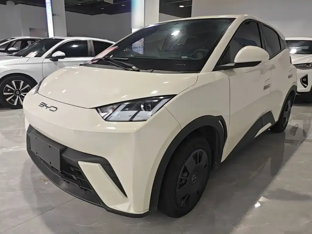 2023 BYD Seagull Vitality