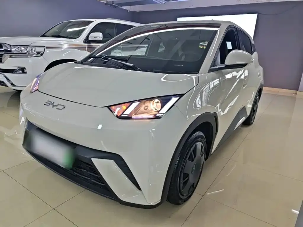 2025 BYD Seagull 305km Vitality