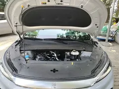 2023 BYD Yuan PLUS EV Champion 430km, белый — фото 20