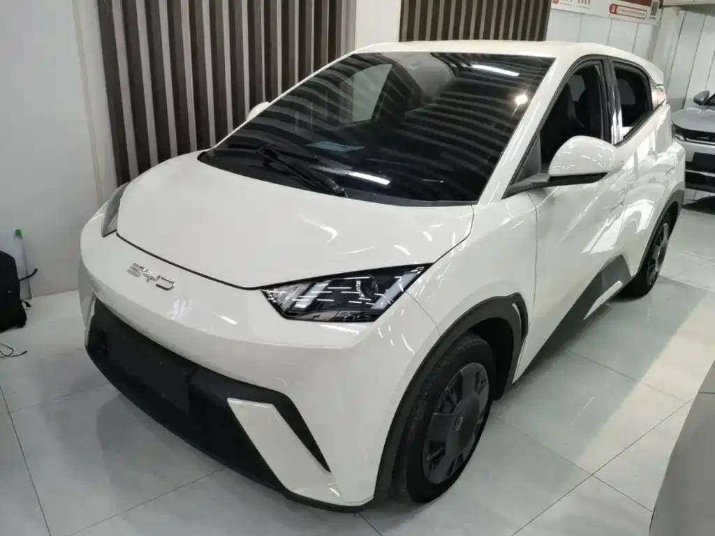 2023 BYD Seagull Vitality