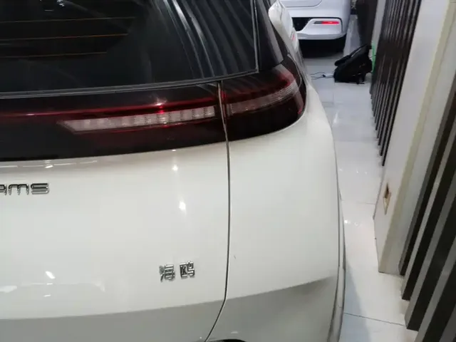 2023 BYD Seagull Vitality