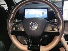 2024 BYD Song Pro Glory Edition DM-i PHEV 110km — фото 11