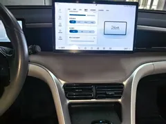 2024 BYD Song Pro Glory Edition DM-i PHEV 110km — фото 13